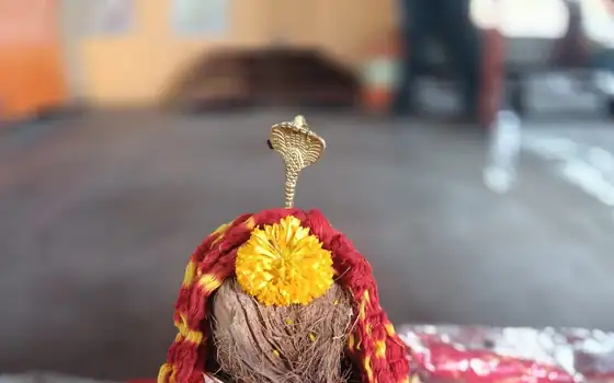 ग्रहण दोष निवारण पूजा